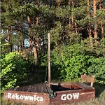 W Konik Mazury *