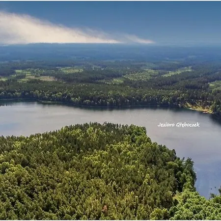 W Konik Mazury *