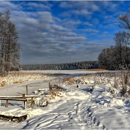 W Konik Mazury *
