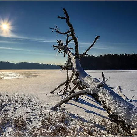 W Konik Mazury Διαμέρισμα Rekownica