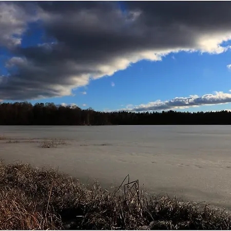 W Konik Mazury *