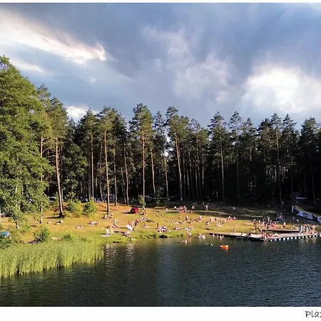 W Konik Mazury