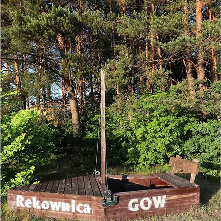 W Konik Mazury *