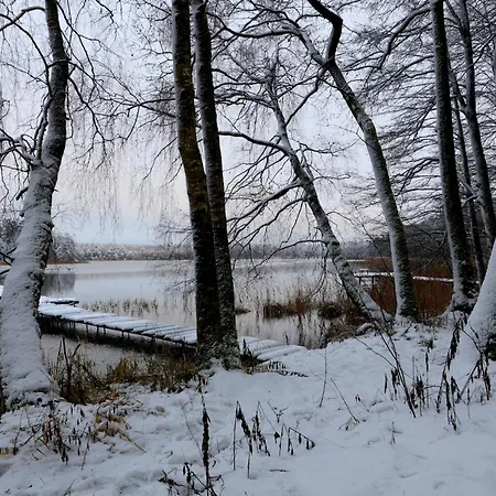 W Konik Mazury *